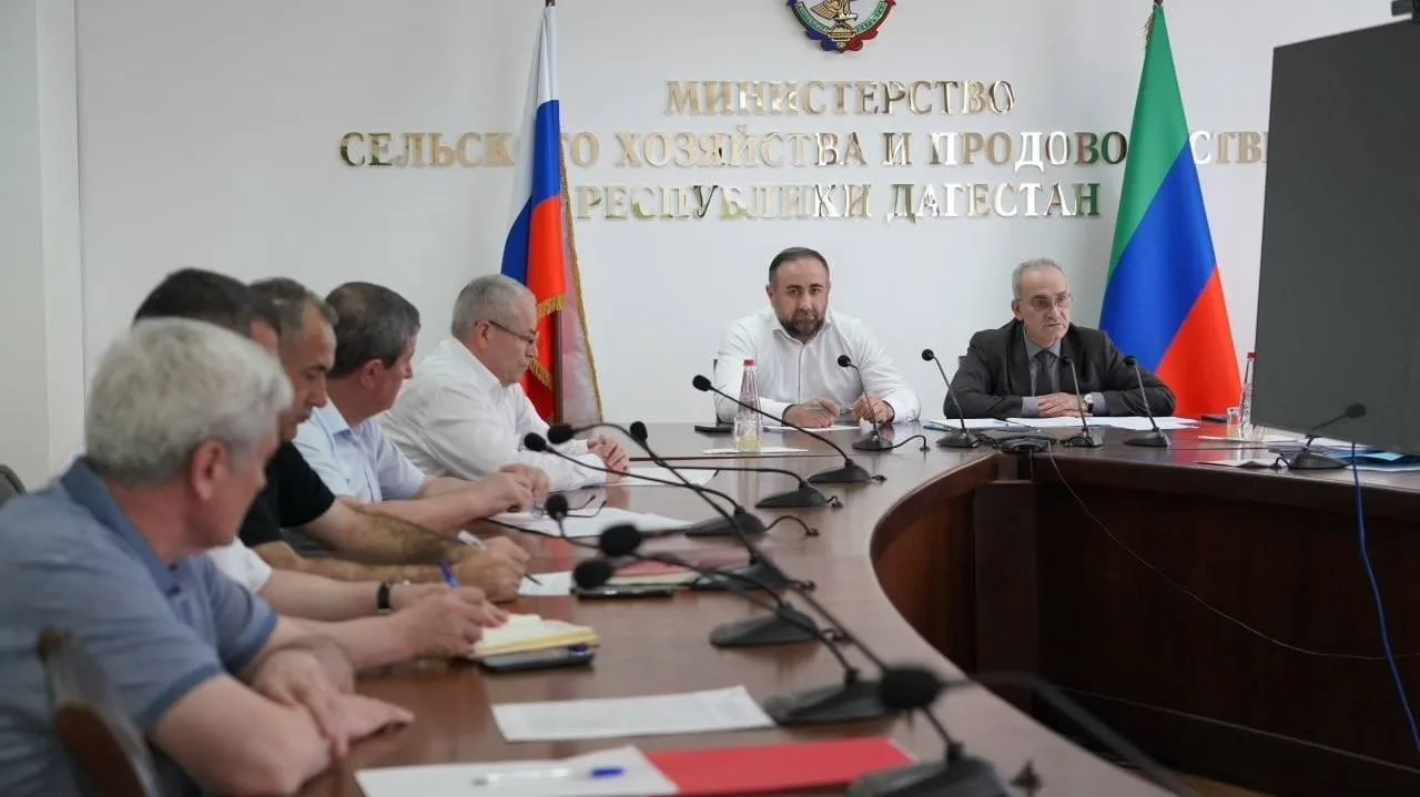 В Минсельхозпроде Дагестана прошло совещание по вопросам реализации нацпроектов и мер господдержки а