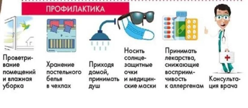 Что можно посоветовать в качестве профилактических мер?

- ежедневное проветривание и влажная уборка