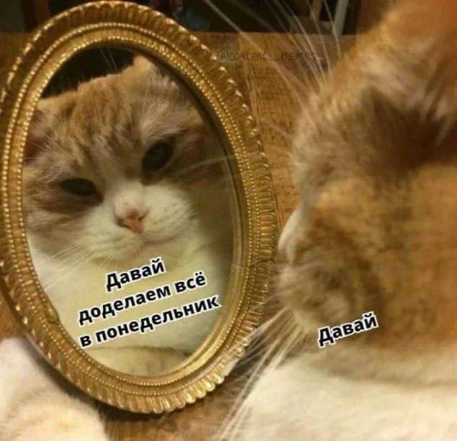 Пятница, вечер! ✨ Самое время забыть о дедлайнах и погрузиться в атмосферу уюта.

Что в планах на эт