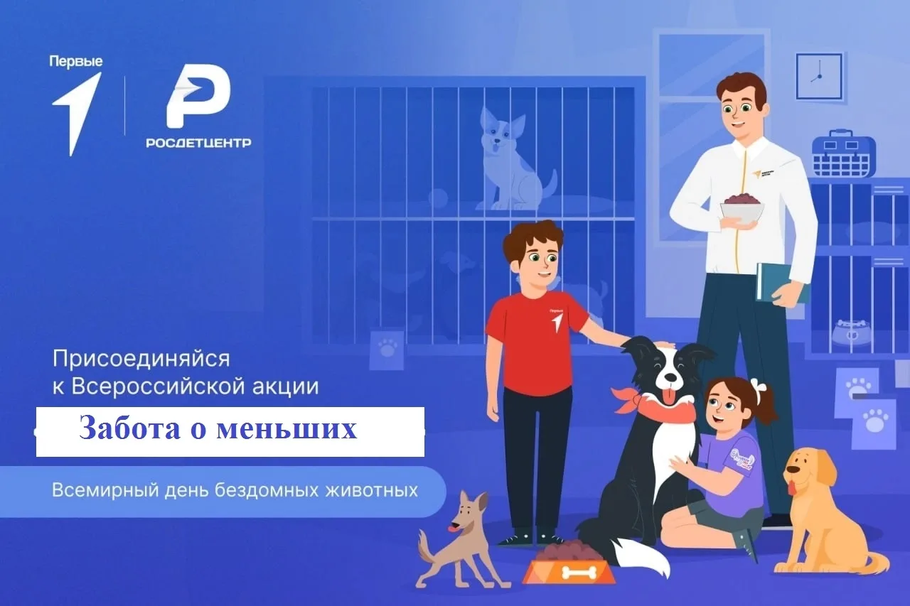 Всероссийская акция "Забота о меньших", посвященная Всемирному дню бездомных животных.