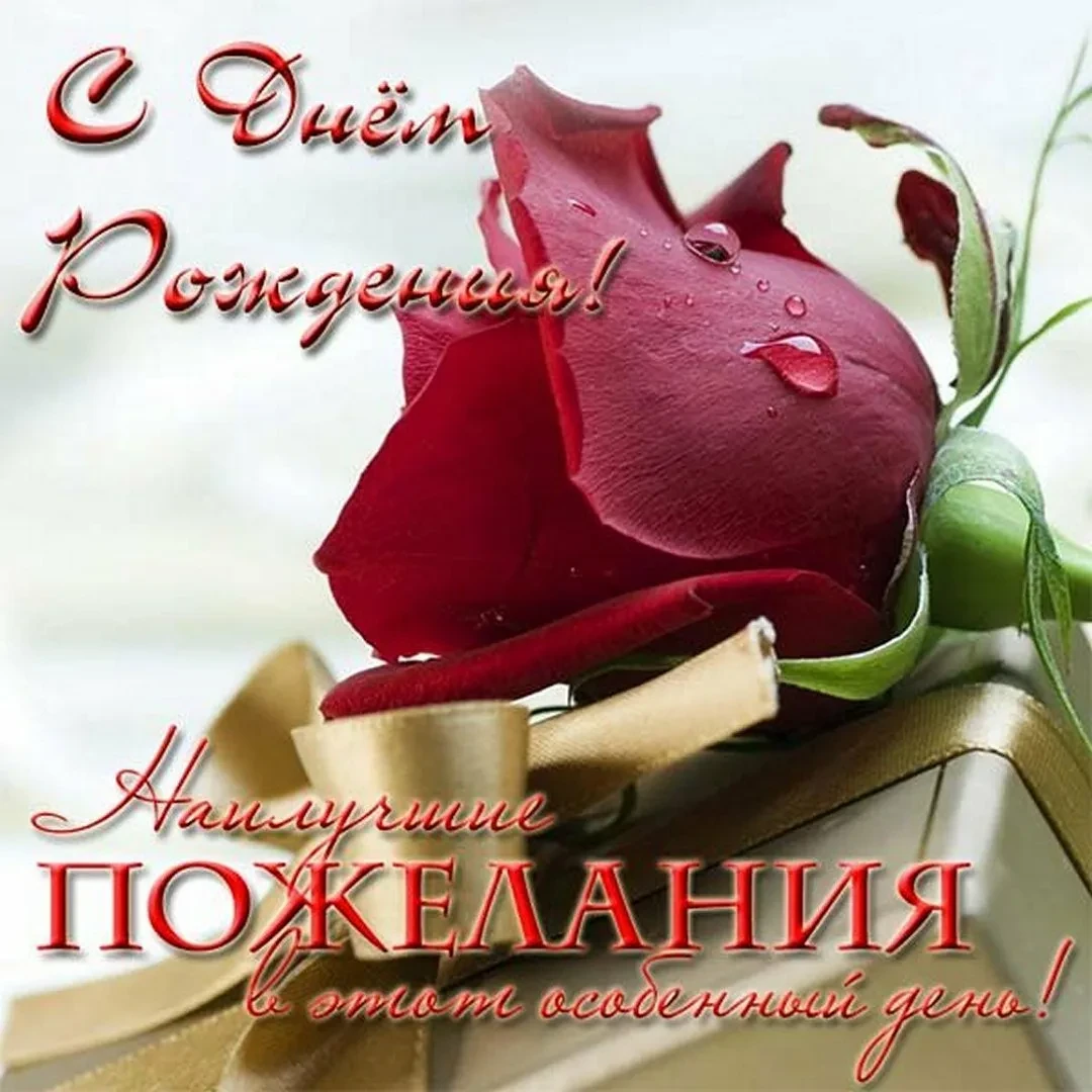 Сегодня наш коллектив спешит поздравить с днем рождения учителя истории, заместителя ди...