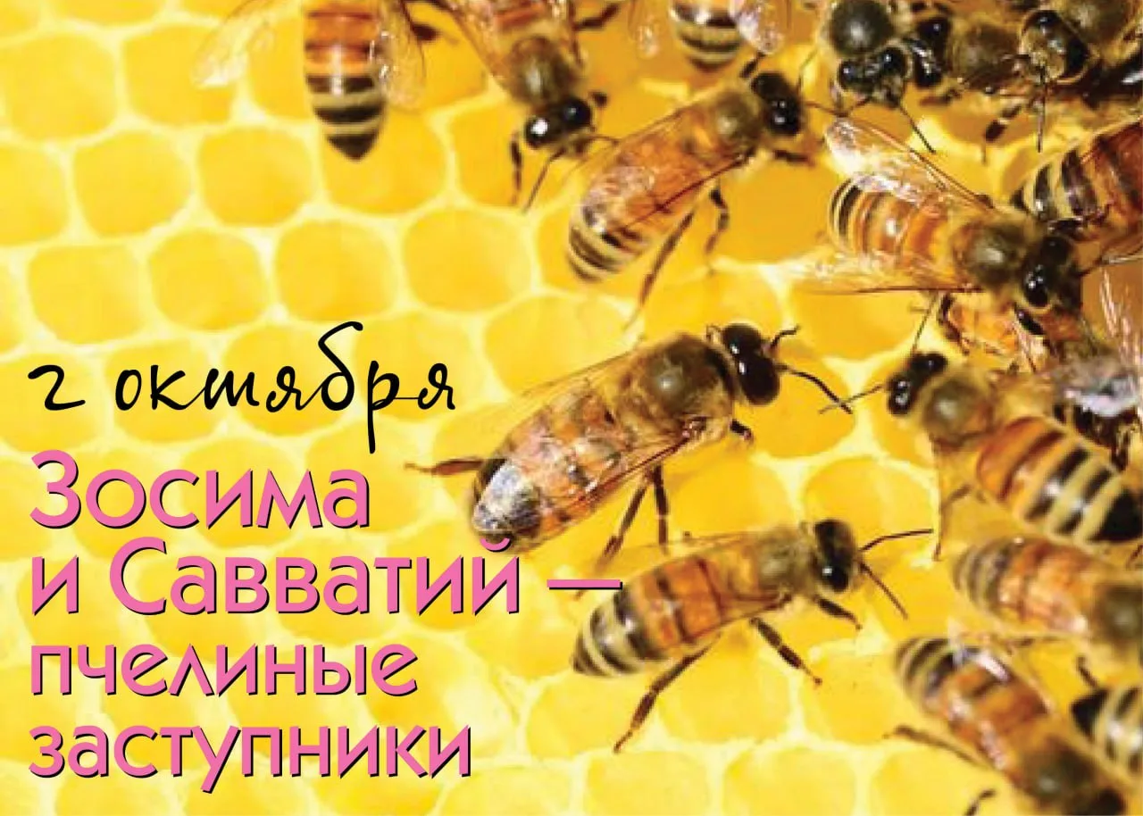 Народный календарь