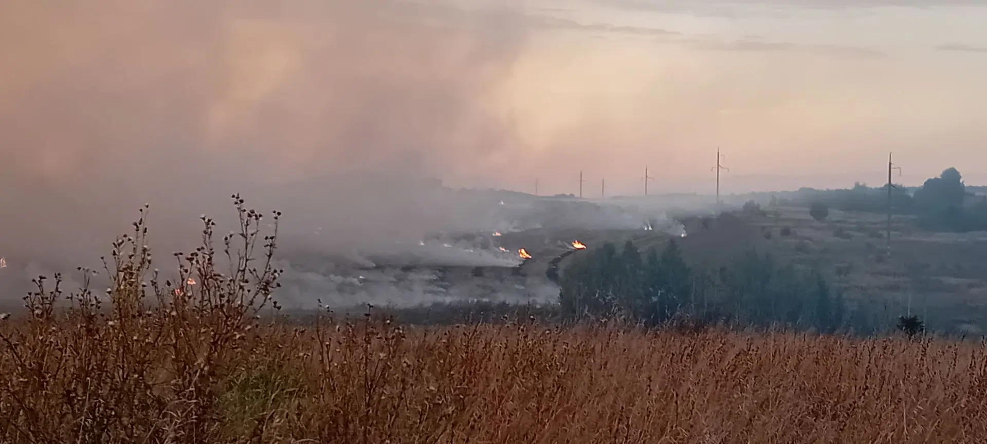 В 15 часов вызвпли пожарных, около 19 видели, как те уезжают, поле так и горит, масштаб...