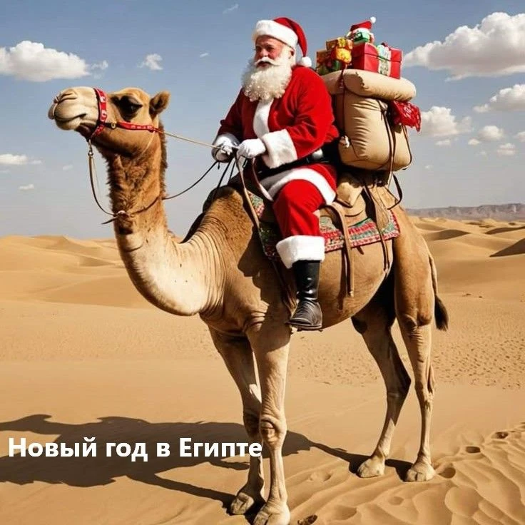 🎄Отмечаем Новый Год дома с оливье и улетаем к теплому Красному морю! 🎄