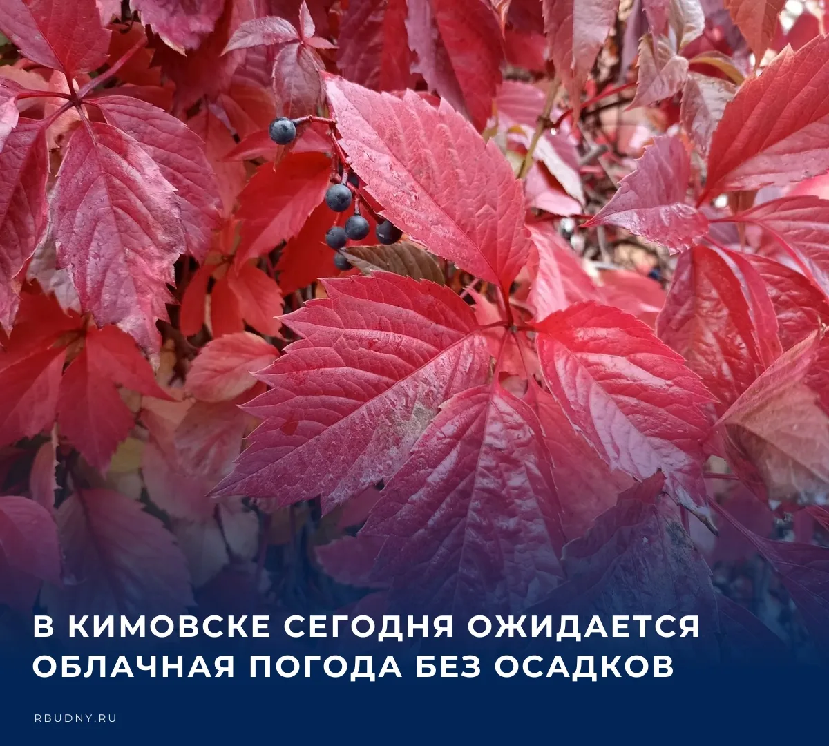 🌤️ Прогнозом погоды на 29 сентября делится пресс-служба регионального Главного управле...