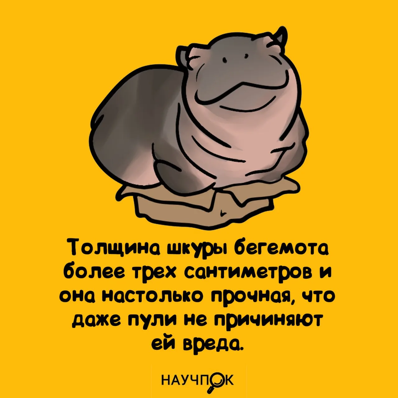 Научпок | Подписаться