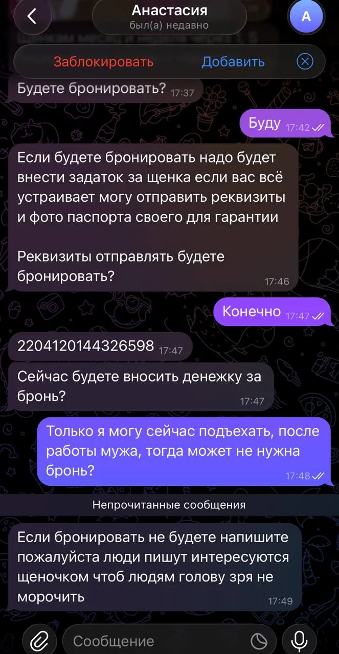 @Kgfdryjj  мошенники, предлагают щенков чихуахуа и просят предоплату