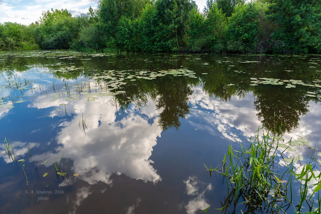 Водные пейзажи.