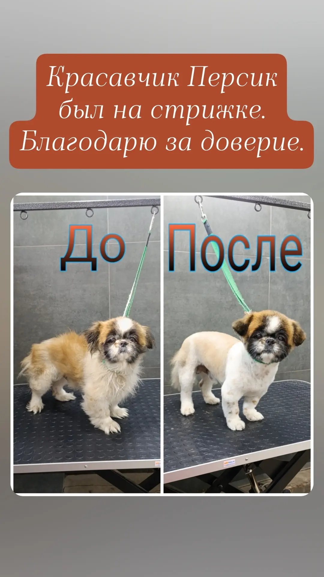Даже когда ты очень взрослый 🤗🤗🤗 после стрижки ты становишься гораздо моложе своих л...