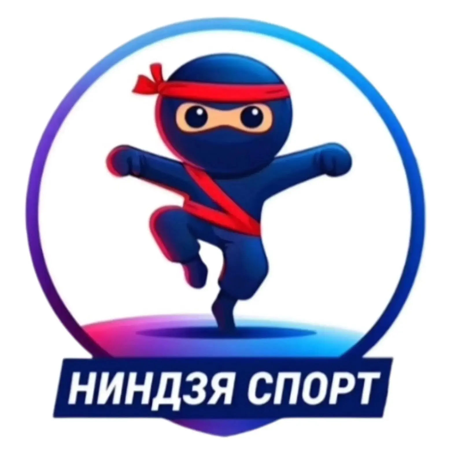 В Петрозаводске впервые прошёл детский фестиваль по гонкам «Ниндзя спорт» среди дошколят

18 мая юны