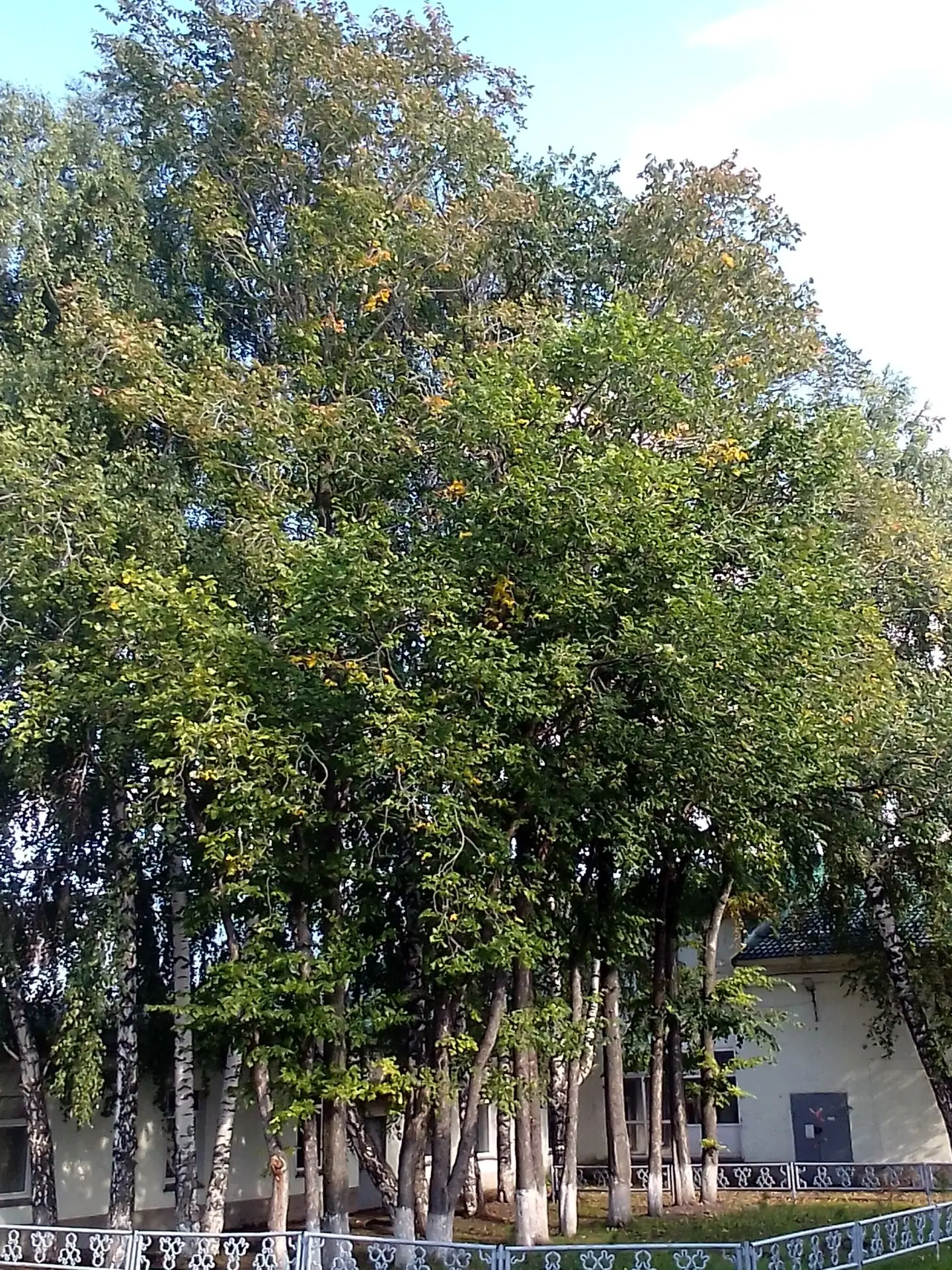 Фото