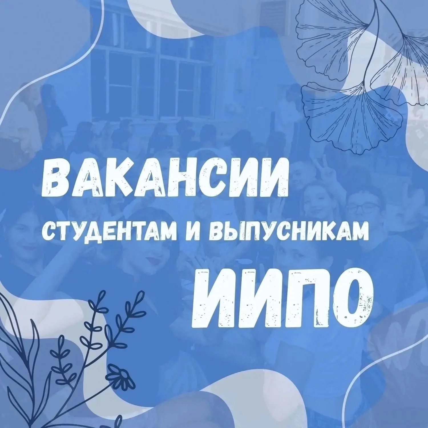 💡Вакансия для выпускников ИИПО!