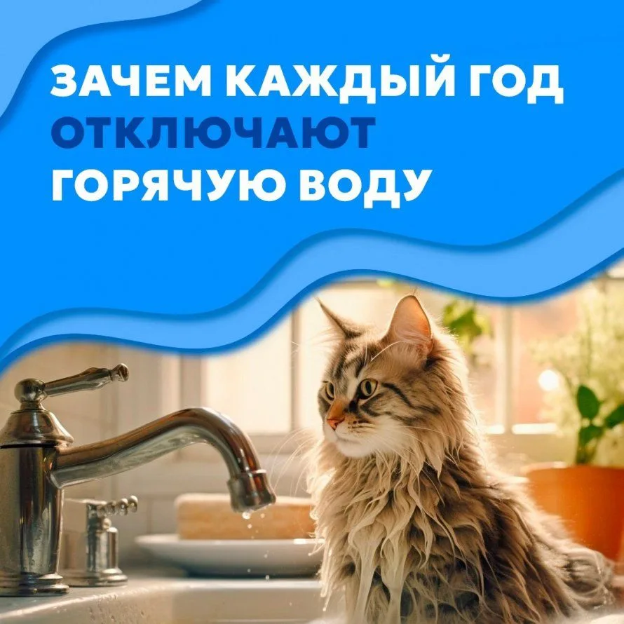 🚿 Почему летом отключают горячую воду

Временное отключение горячей воды — ежегодная мера, необходи