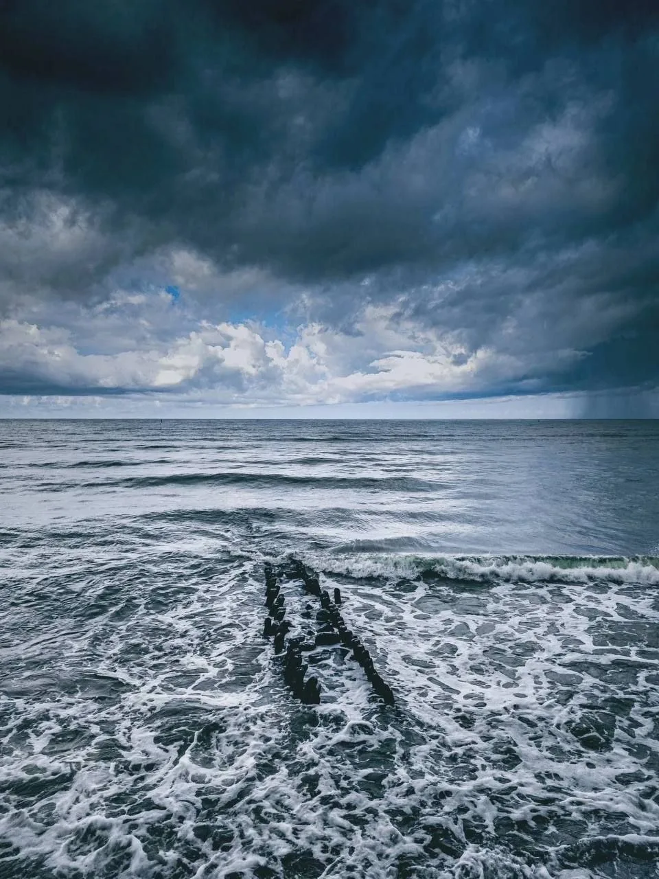 🌦️🌬️ Четверг в Калининградской области будет дождливым...