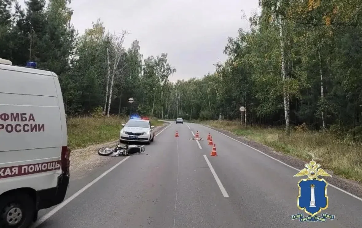 Разбился насмерть из-за собаки: под Димитровградом в ДТП погиб мотоциклист