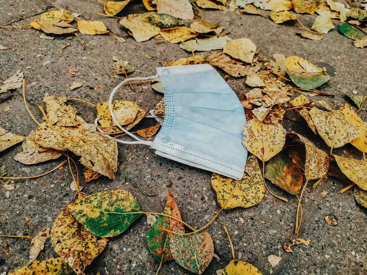 Тыква, сон и вода: как сохранить здоровье этой осенью