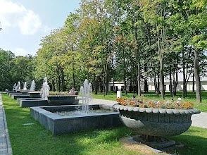 🌳 Петровский парк — зелёный уголок Москвы