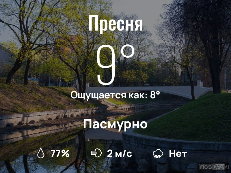 Что с погодой в Пресненском?