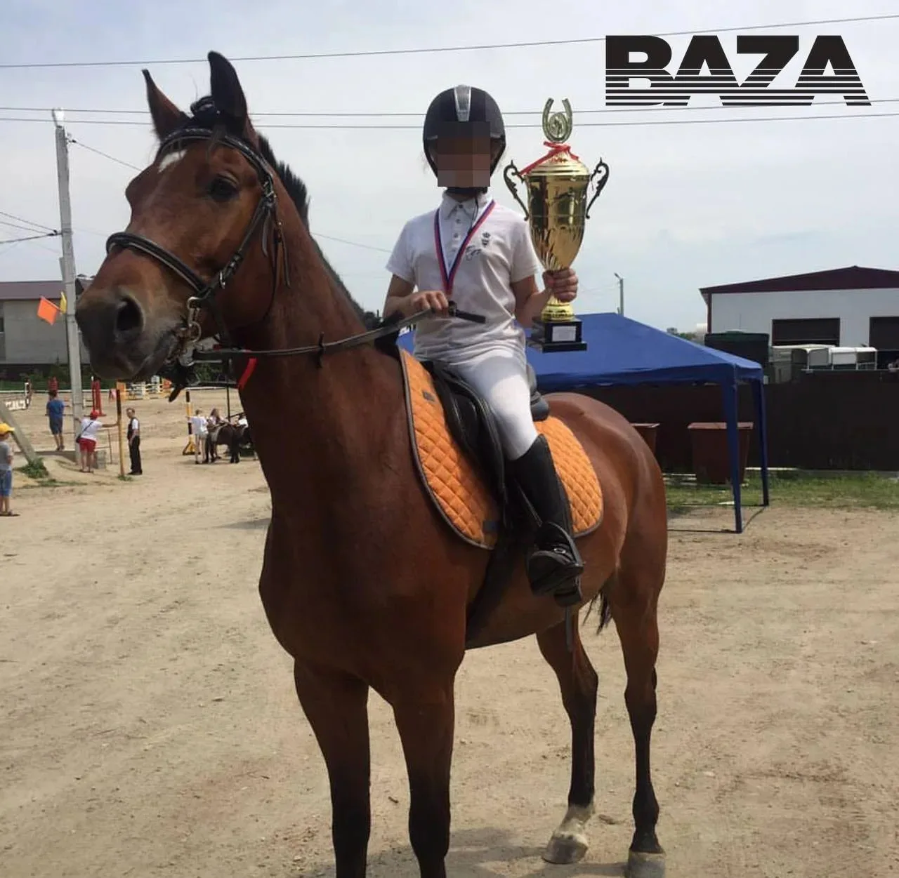 🐎В Приморье суд арестовал титулованного мерина за преступление соседки по конюшне — та лягнула девоч