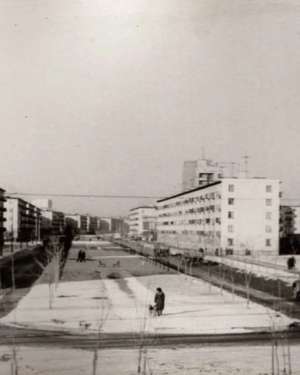 Каштановая аллея на проспекте Шаумяна.

1969 г. - 2021 г.

Ржевка | ТГ | ВК | Предложка