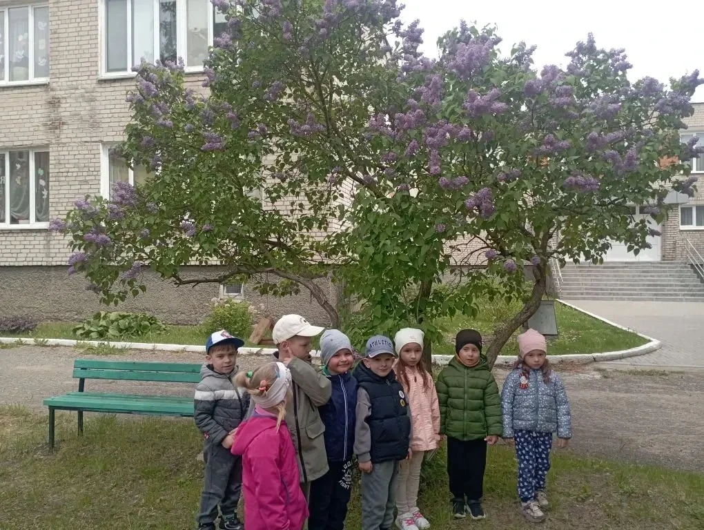 ✅18 мая отмечается Международный день сирени.