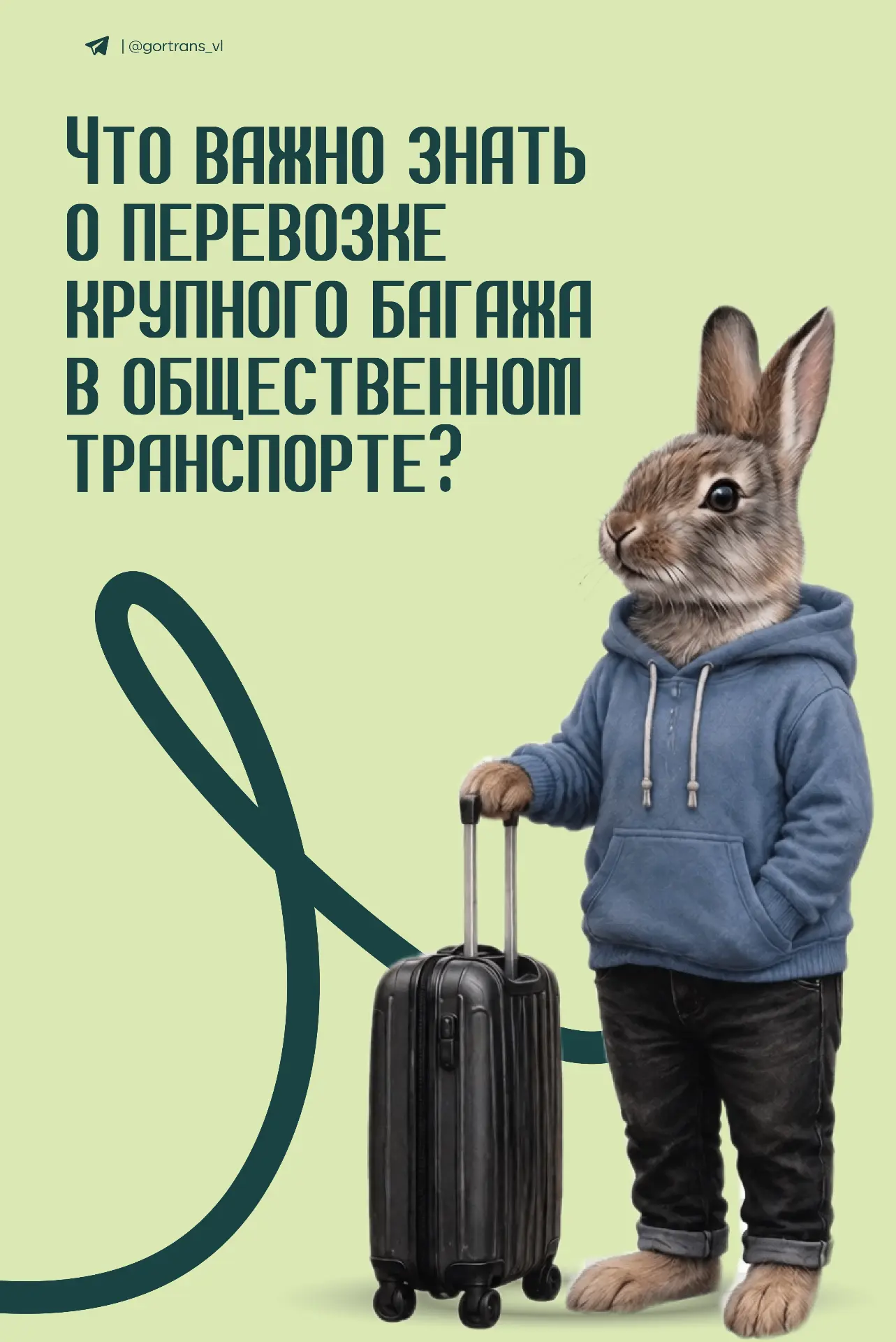 🚍 Планируете поездку с чемоданом, велосипедом или крупной сумкой?