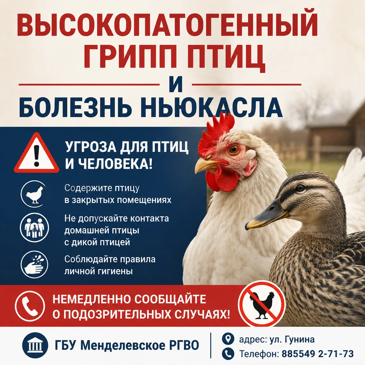 📌Грипп птиц и болезнь Ньюкасла.