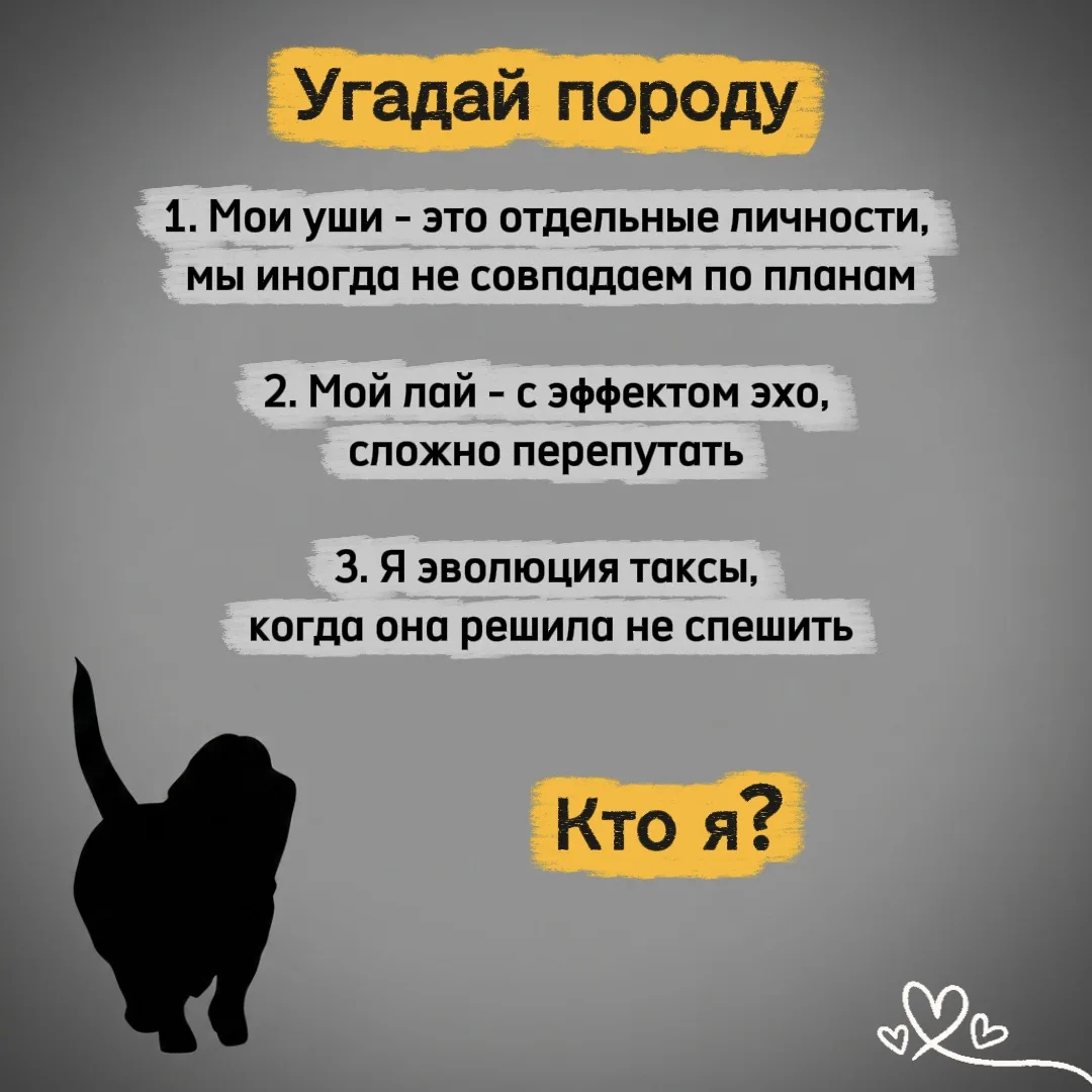 Рубрика «Угадай породу» 🐾
Выпуск №4

На картинке 3 факта о породе "от лица собаки"
Ваша задача - по