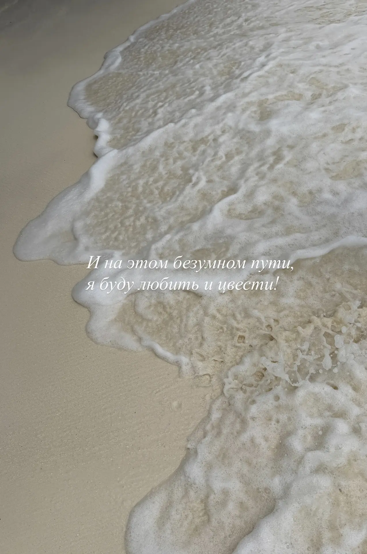 🕊️