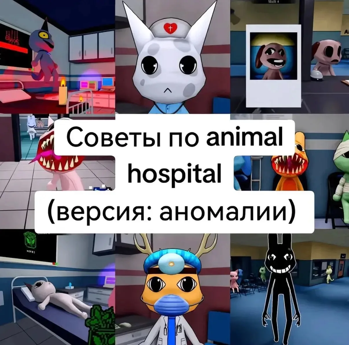 Изображение 1 к публикации «🧪Больница Для Животных | Animal Hospital»