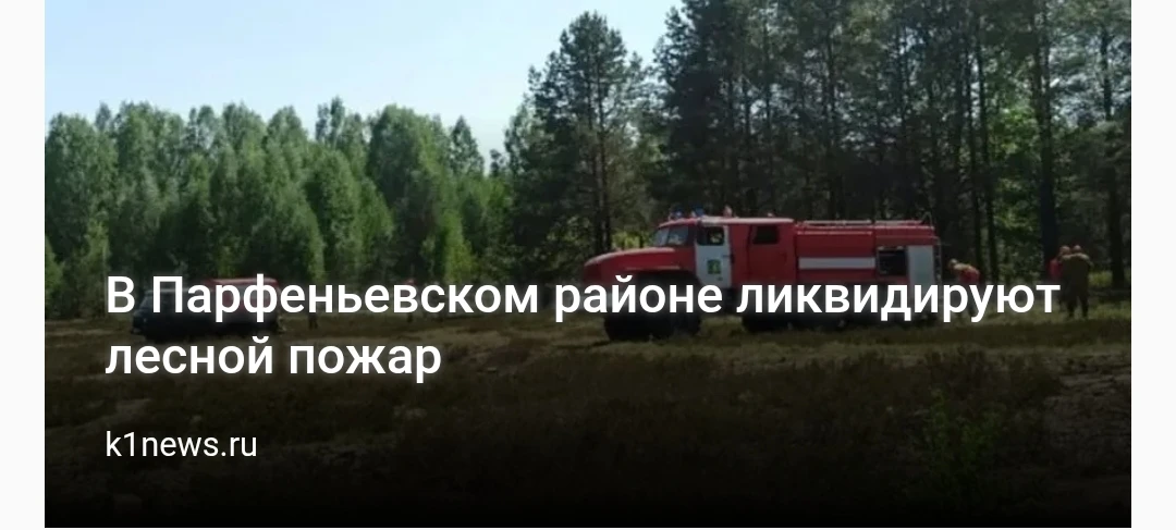 В Парфеньевском районе ликвидируют лесной пожар   Губернатор Костромской области Сергей Ситников пос