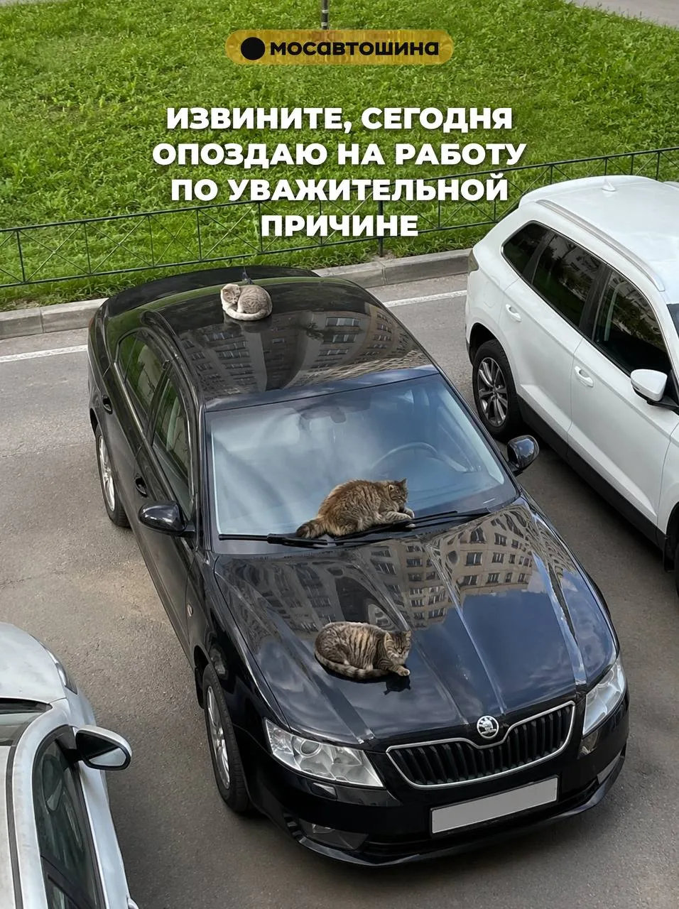 Реально уважительная причина!