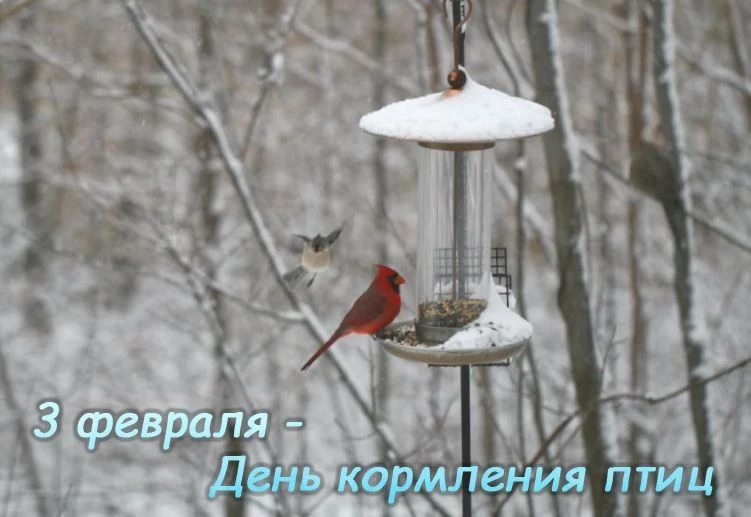 Тематическая рубрика "Радостный календарь"