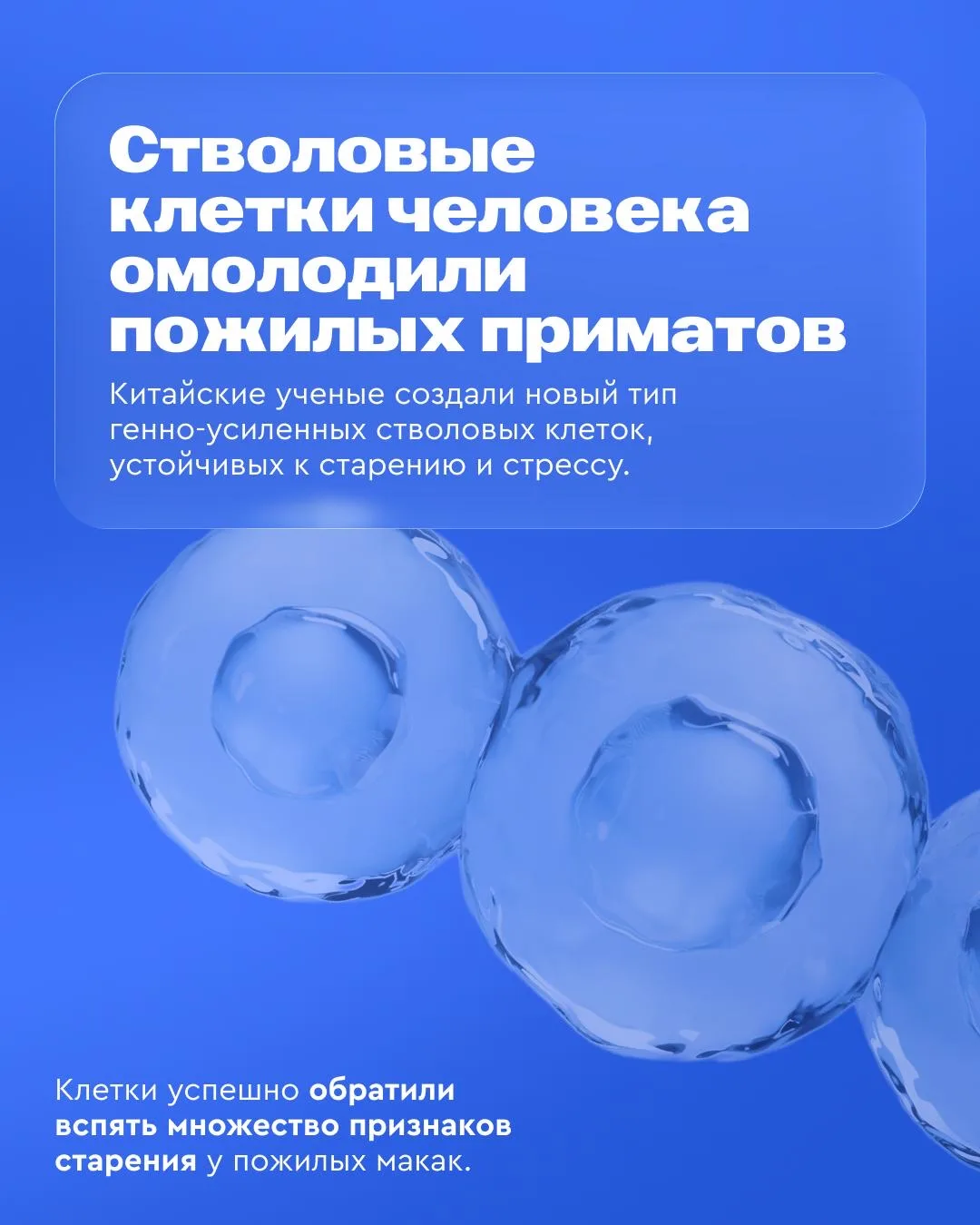 Это прорыв: новости из мира биомедицины ⚡  Газпромбанк как технологический лидер принимает активное 
