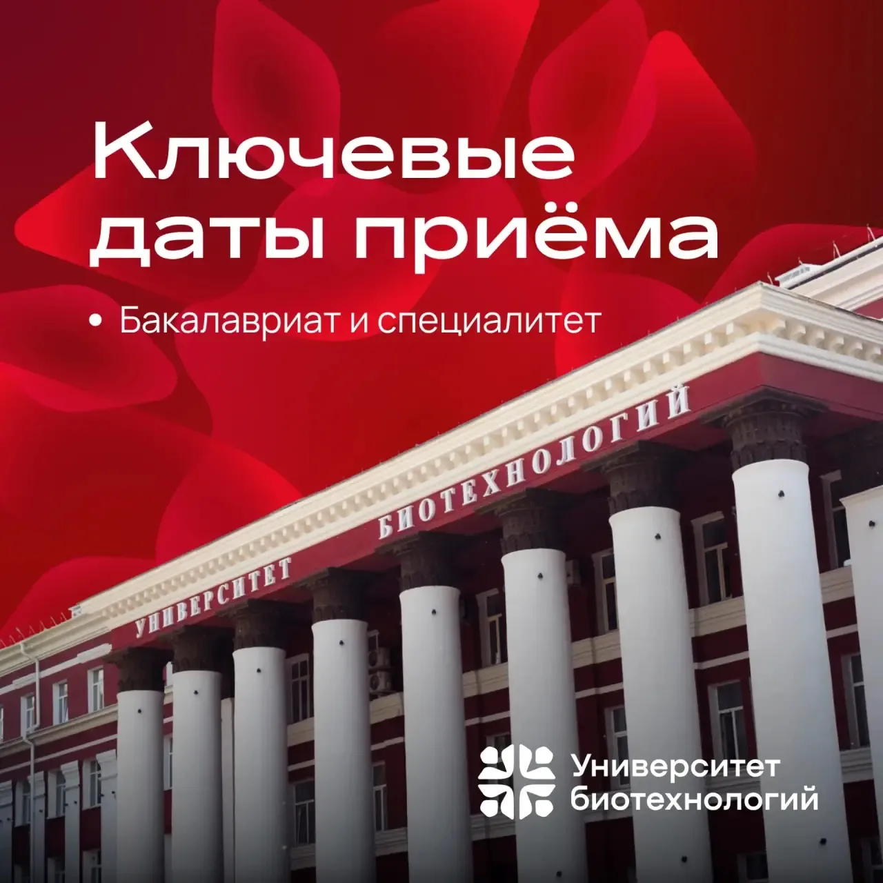 🥳 Очень ждём новых лиц и специально для них подготовили карточки с ключевыми датами приёма на прогр