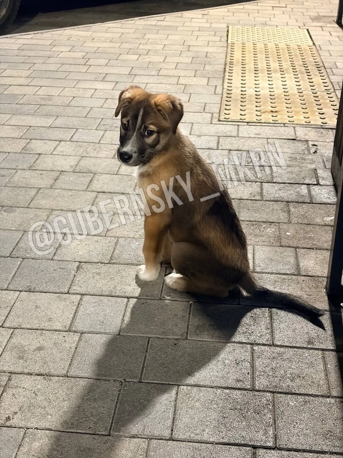 #соседипишут