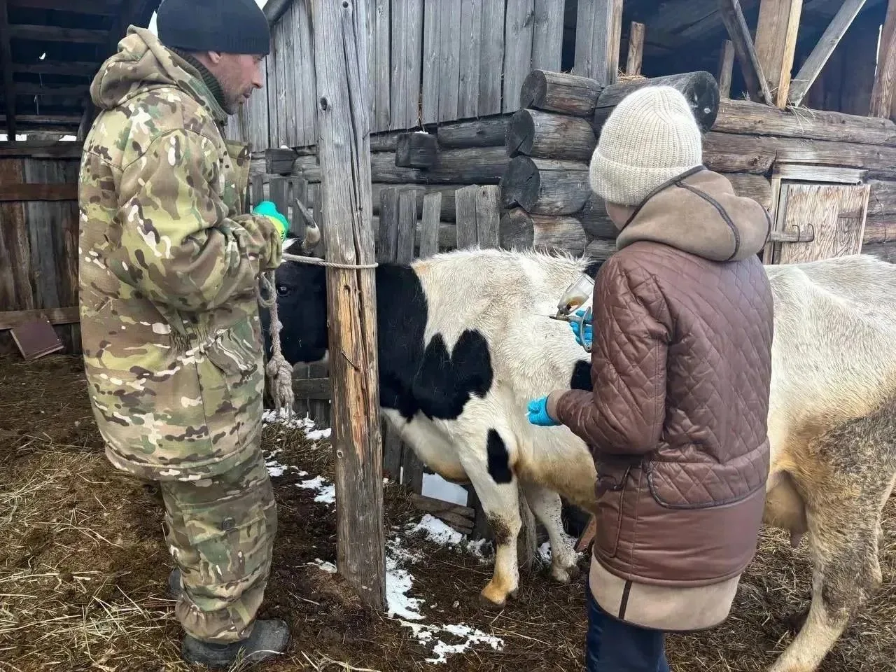 В Иркутскую область поступили ветеринарные препараты на сумму 8,5 млн рублей

💉Биопрепараты для жив