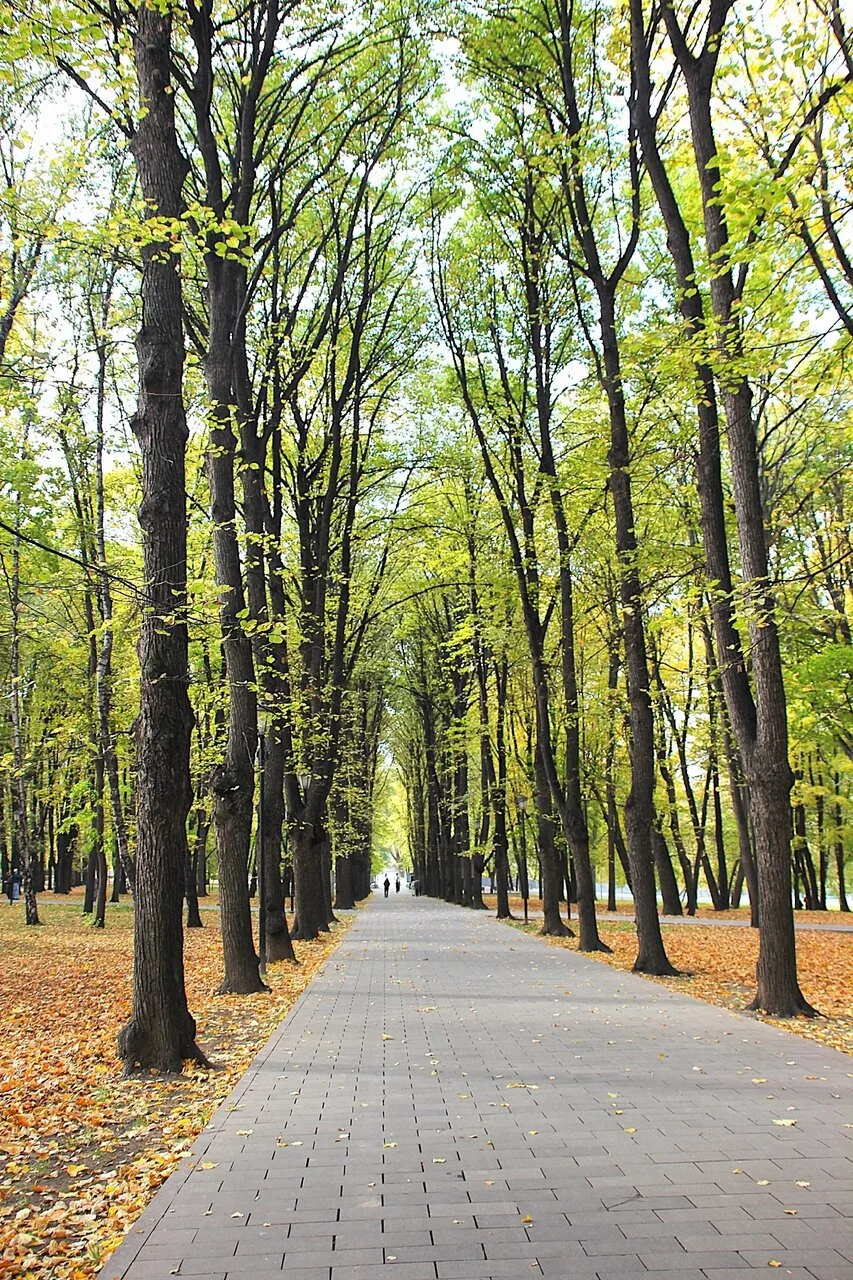 Прекрасный Лефортовский парк 😍