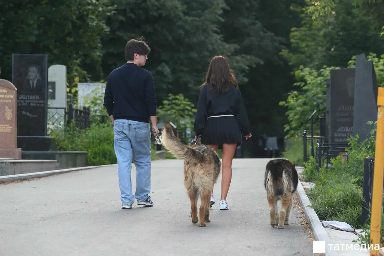 🐶🐱В Татарстане могут ужесточить правила содержания домашних животных 
 
В республике планируют зап