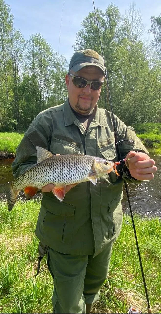 🗓 12.06.26
📍 Ленобласть 
🎣 Спиннинг
➖
Когда попадается такой красавец🐟🌿считай
Рыбалка удалась👍