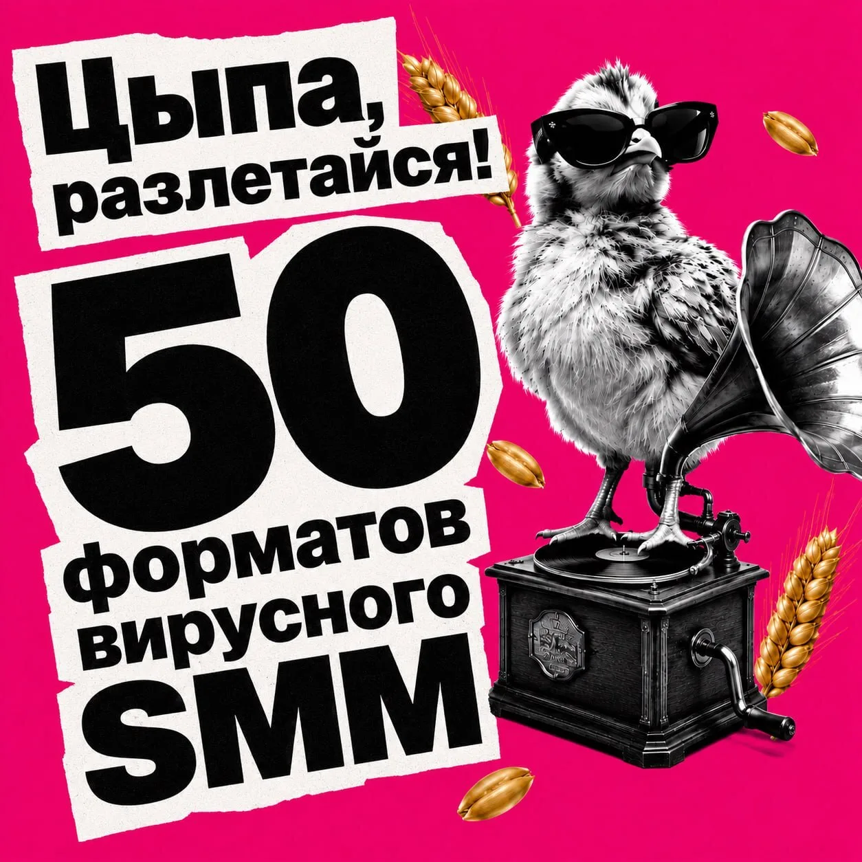 Цыпа, разлетайся! + ещё 3 пернатых подружки

Друзья, напоминаю: сегодня в 13:00 МСК выступаю у своих