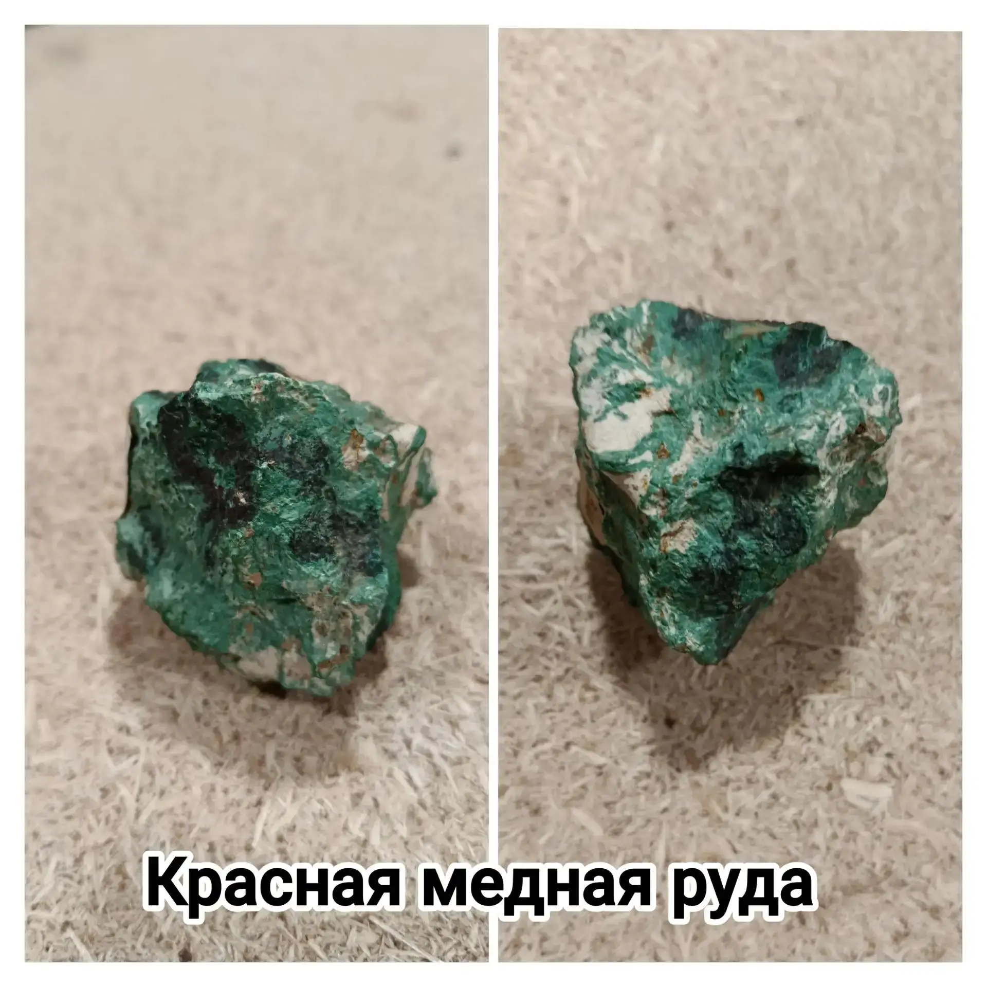 Сегодня в нашей постоянной рубрике «Рассказывают хранители» речь пойдет об одной из первых коллекций