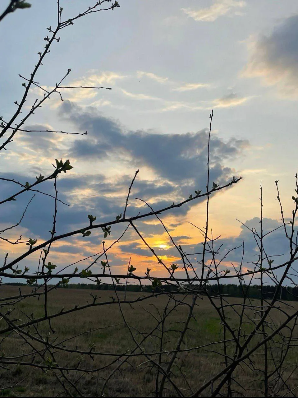 🌙 Доброй ночи, Архангельск!