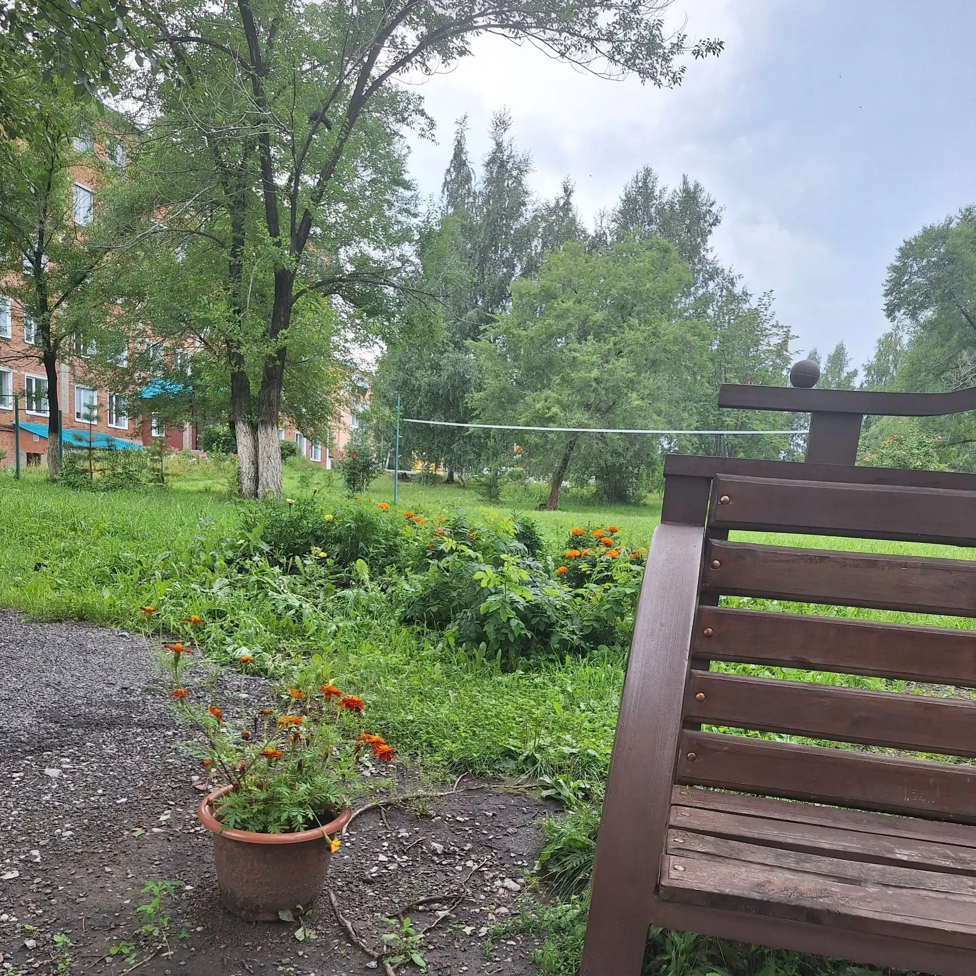Августовское утро в больничном парке