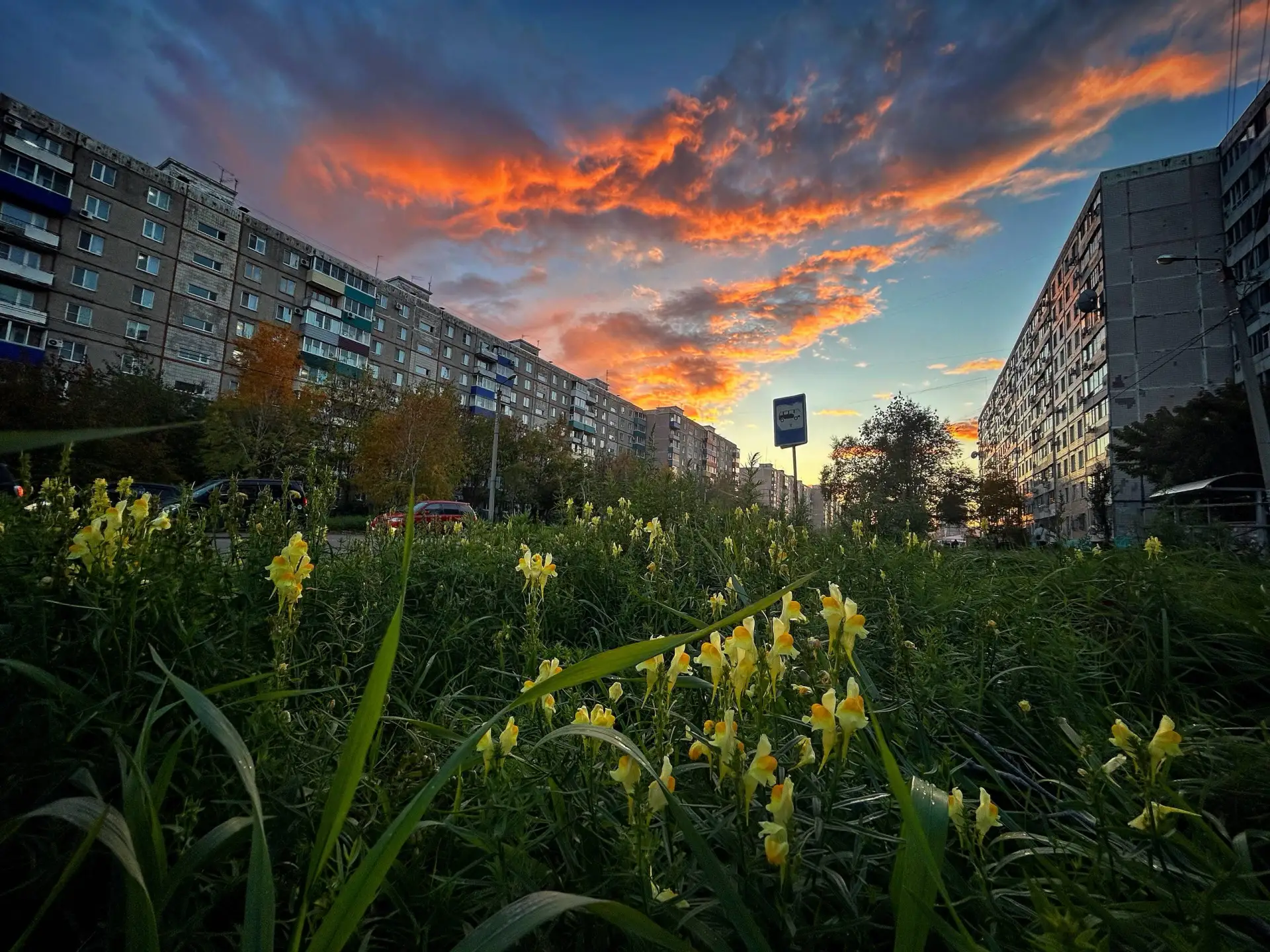 Закатное 🥰