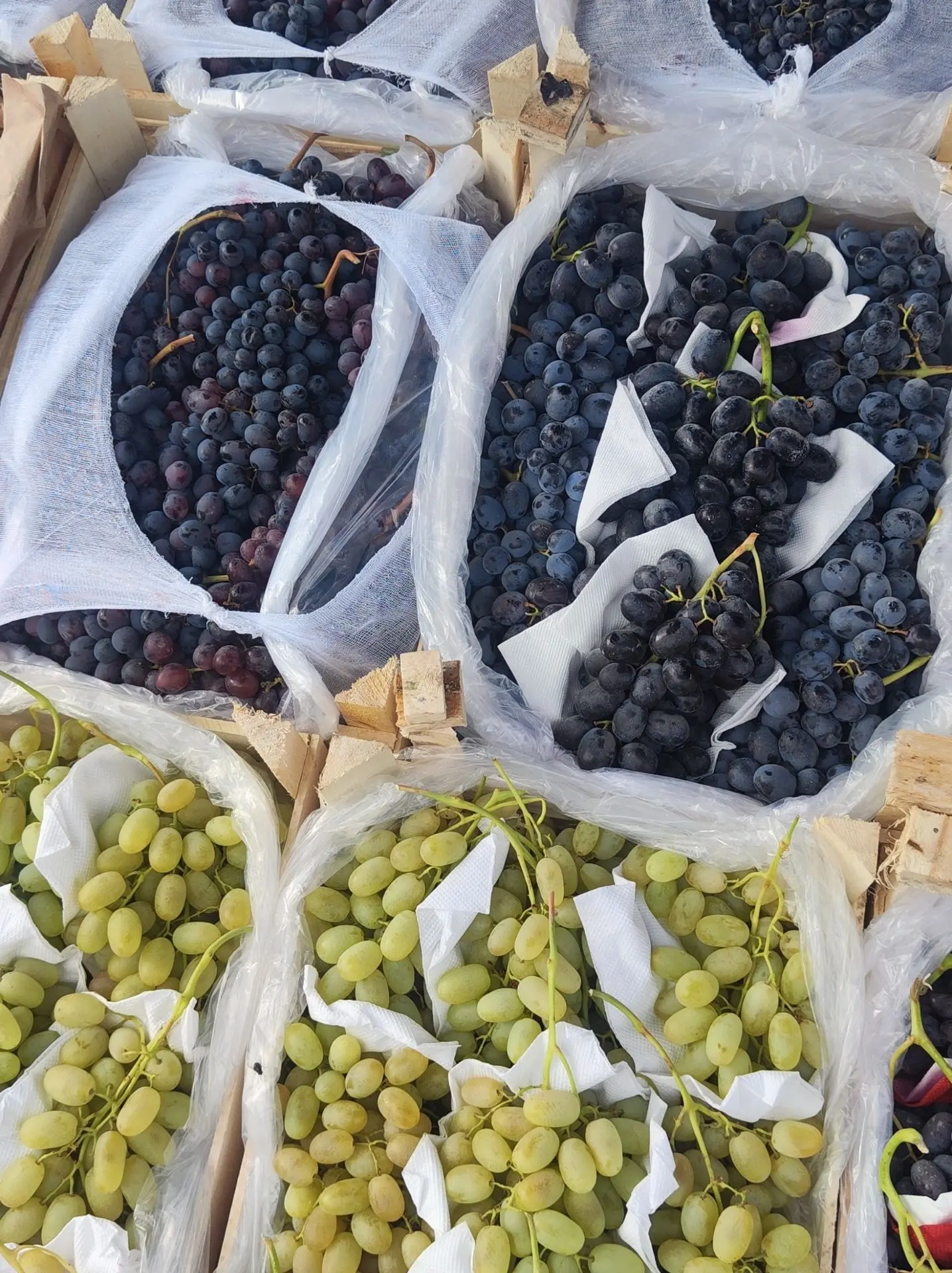 🍇 Сушим виноград
