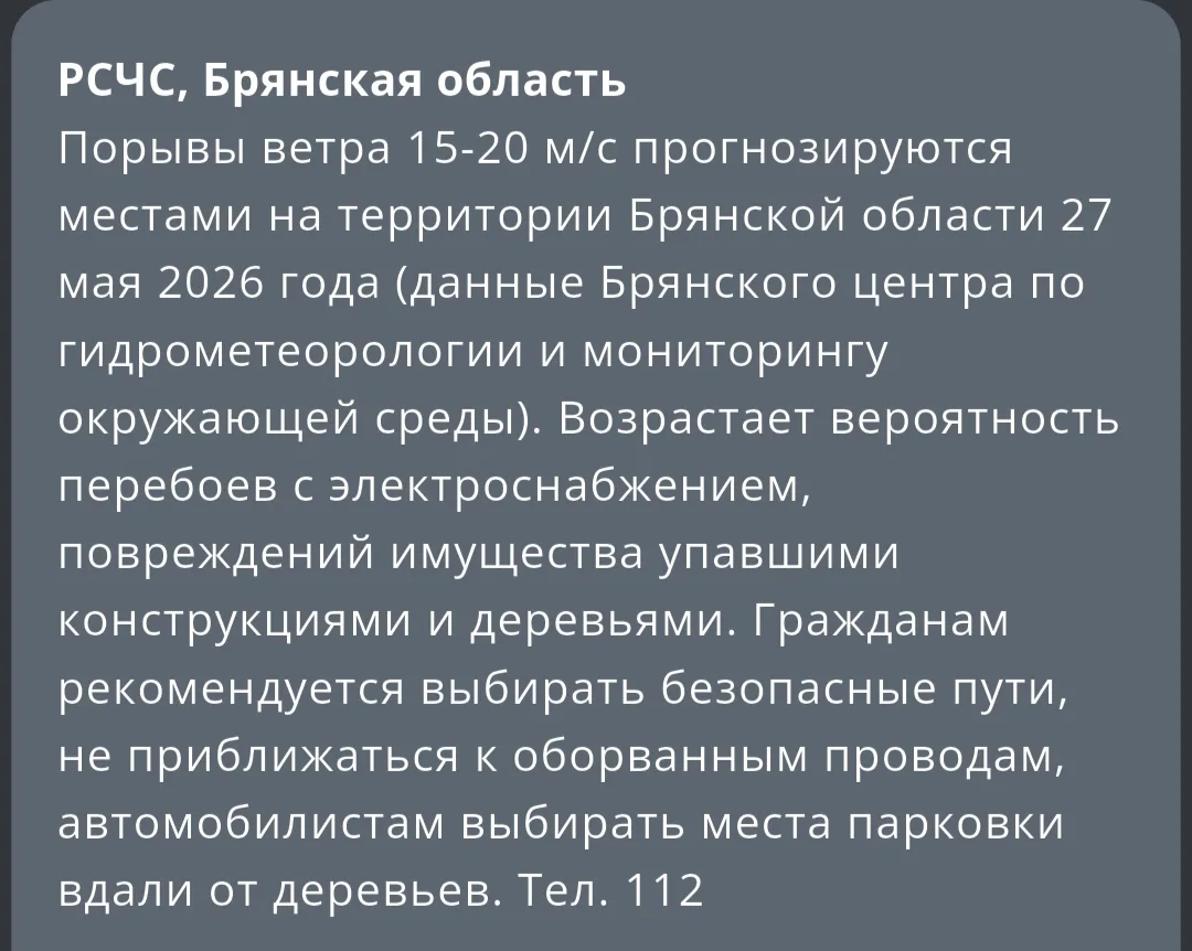 Штормовой ветер накроет завтра Брянскую область 💨