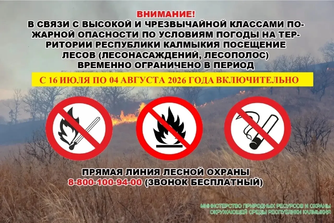 ⚠️ Важно: в Калмыкии вводятся временные ограничения на посещение территории лесного фонда

В Калмыки