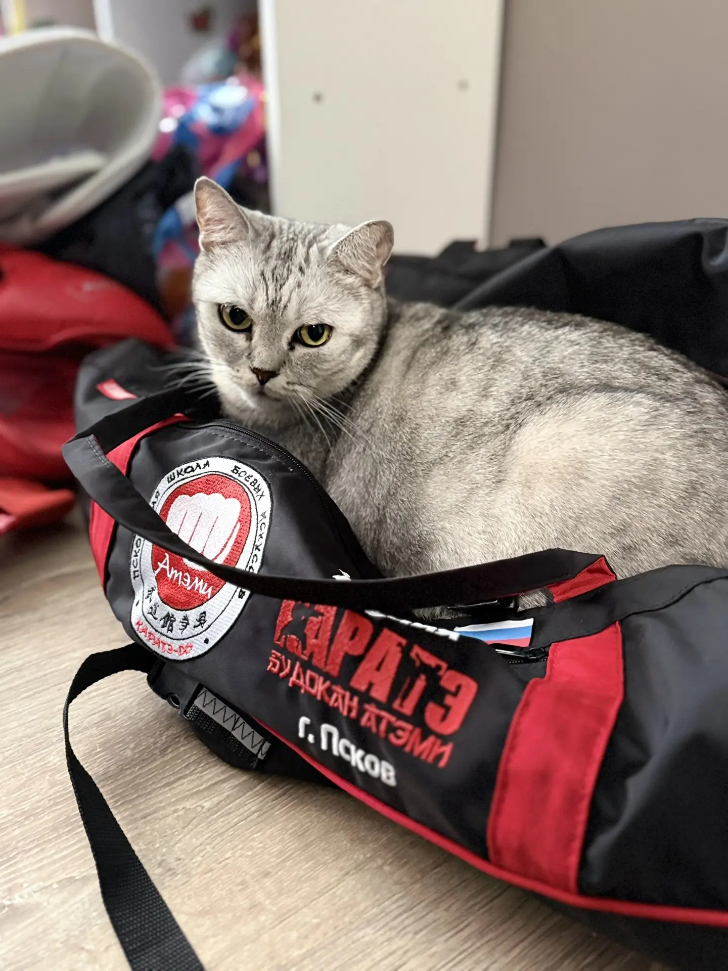 КОТЭ🐈
