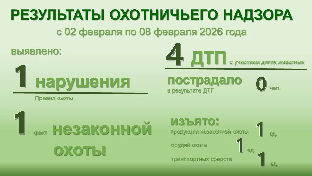 Завершилась ещё одна неделя работы службы охотничьего надзора — время подвести итоги. Э...